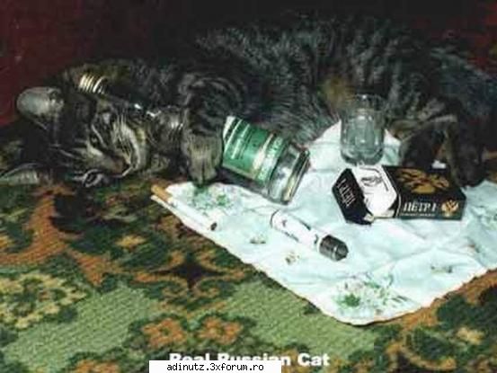 Funny animals=) - adinutz - poze s00per funny
