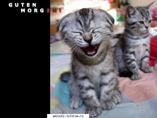 Funny animals=) - adinutz - poze s00per funny